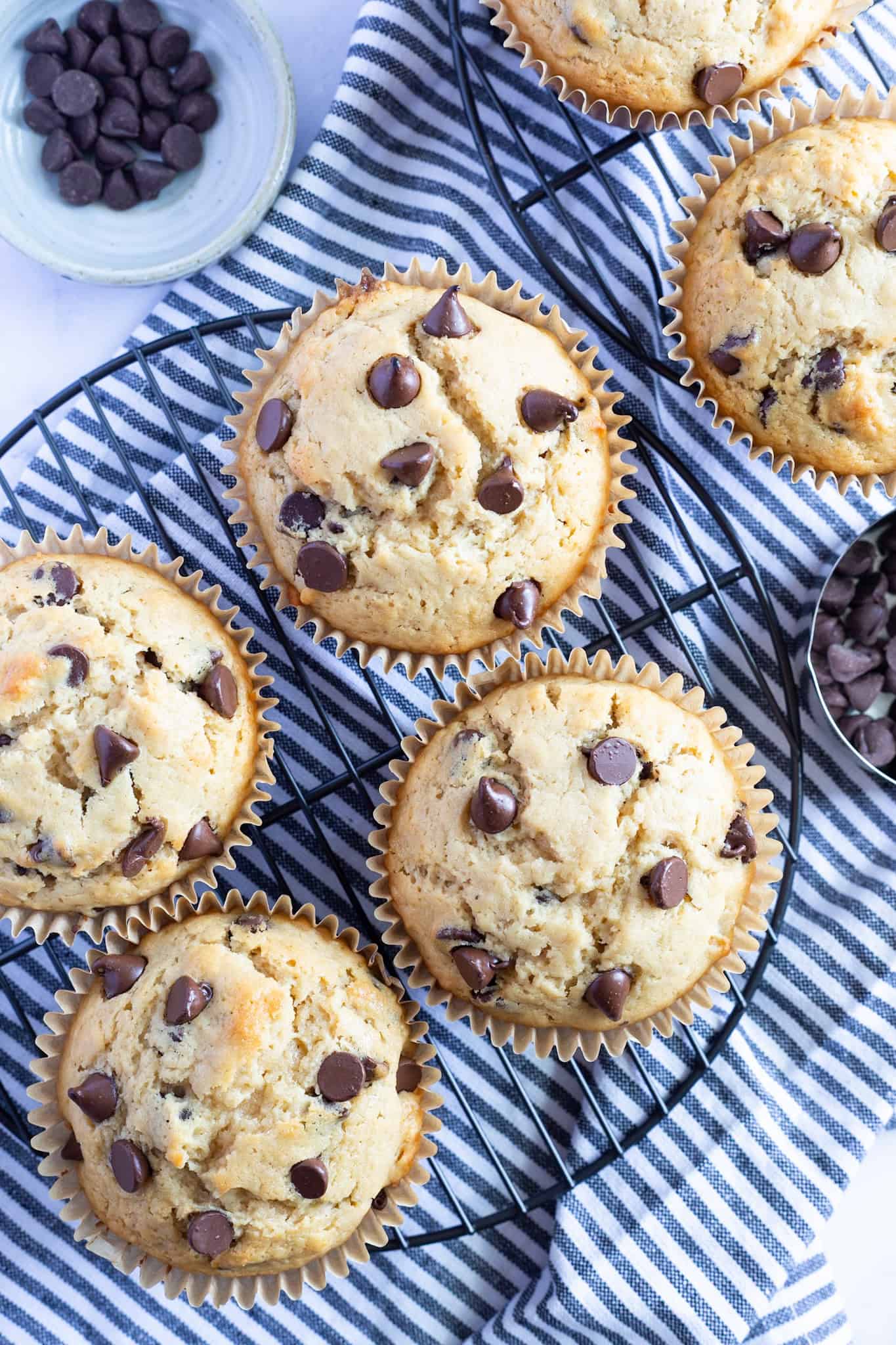 Chocolate chip muffins placed on a baking rack to cool.